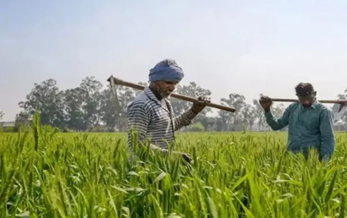 MP Kisan Samman Nidhi