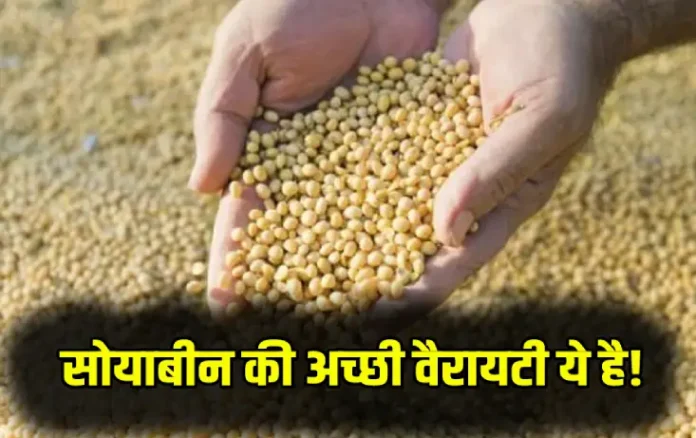 MP Soyabean Variety 2025