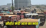 Sehore Mandi Price Today