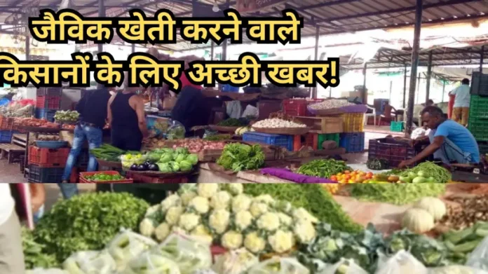 Bhopal Organic Market