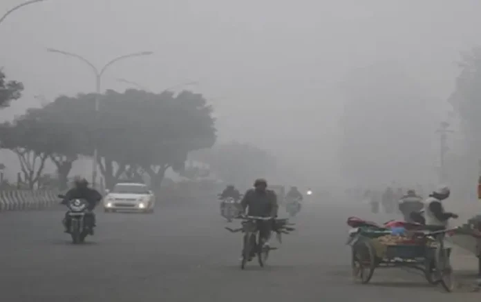 Cold Wave in MP