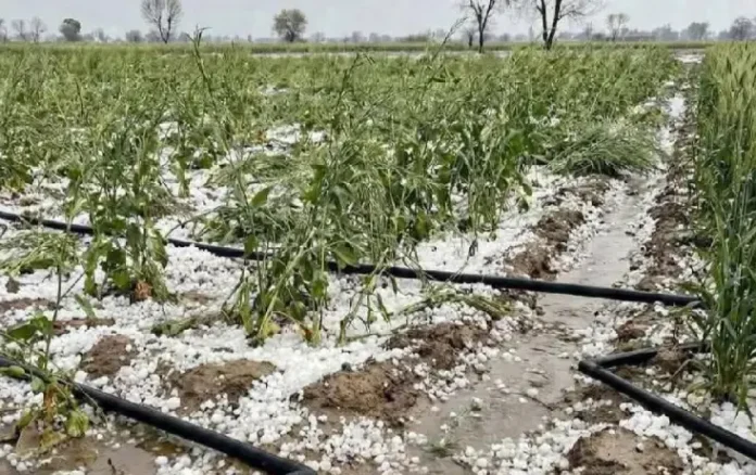 MP Hailstorm Weather